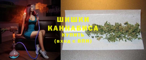 ГАЛЛЮЦИНОГЕННЫЕ ГРИБЫ Арсеньев