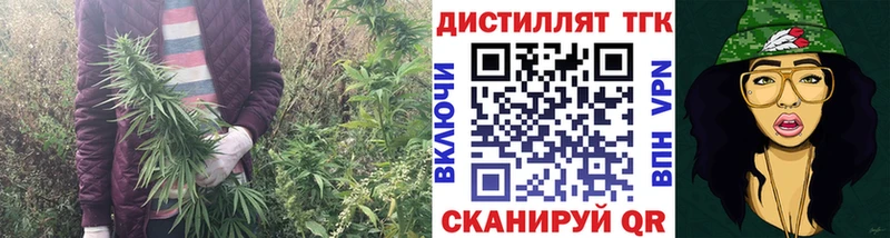 ТГК вейп  hydra маркетплейс  Кодинск 
