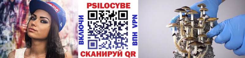 omg рабочий сайт  Кодинск  Псилоцибиновые грибы мухоморы 